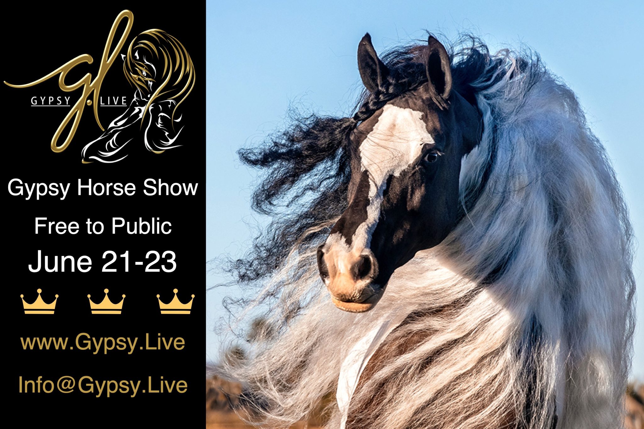 gypsy live logo